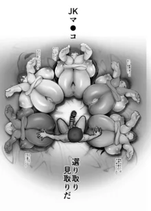 淫妖奇術競 四巻, 日本語