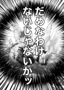 fūfurashī koto suru moto kyōdai no hanashi, 日本語