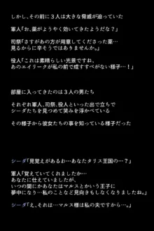 人妻英雄たちの苦悩, 日本語