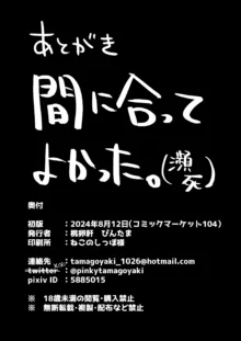 わ…吾輩…総帥なんですけど…, 日本語