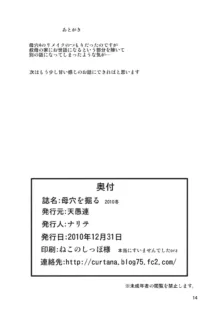 Boketsu o Horu 2010 Fuyu | 모혈을 파다 2010 겨울, 한국어