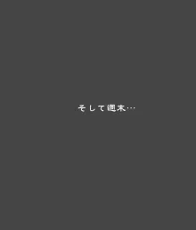 苗床性奴隷 淫獄人生録 ～アザミちゃん初めての一人暮らし～, 日本語