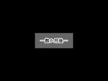 無人島に漂流してクール系美女と二人きり〜いちゃらぶ関係になって朝から晩まで無我夢中でヤリまくる話〜, 日本語