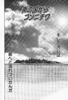 南の国からコンニチワ, 日本語