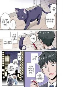 Uchi no Yandere na Kaineko-chan ni Mechakucha ni Shiborarechau Hanashi Full Color-ban, 한국어