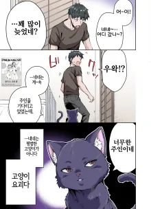 Uchi no Yandere na Kaineko-chan ni Mechakucha ni Shiborarechau Hanashi Full Color-ban, 한국어