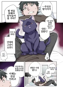 Uchi no Yandere na Kaineko-chan ni Mechakucha ni Shiborarechau Hanashi Full Color-ban, 한국어