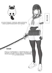 元魔法少女の仕事話 青, 中文