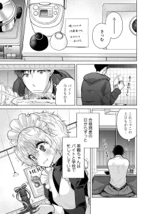 ノラネコ少女との暮らしかた 第1-47話, 日本語