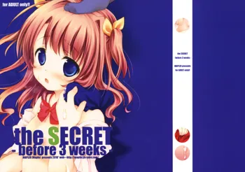 the SECRET -before 3 weeks- コピー誌, 日本語