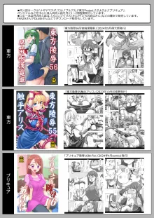 プリキ○ア陵○17まゆ, 日本語