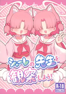 シャーレの先生を観察しよう! (ブルーアーカイブ)｜一起观察夏莱的老师吧!, 中文