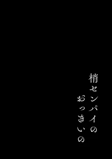 梢センパイのおっきいの, 日本語