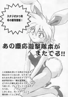 マキ・ローウェルBOOK バイファム復活記念, 日本語