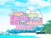 Hairanki no Haramigoro JK to Tanetsuke Beach de Jusei suru made Ninkatsu Gasshuku!, 中文