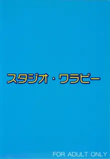 えっちぃのは好きですか？ 2, 日本語