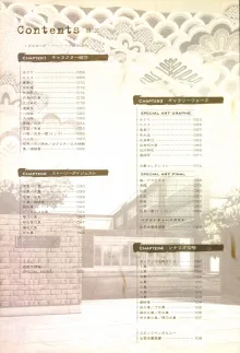 IZUMO 2学園狂想曲ビジュアルコレクション, 日本語