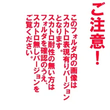 里守の巫女 第三章 次女 「和」 後編, 日本語