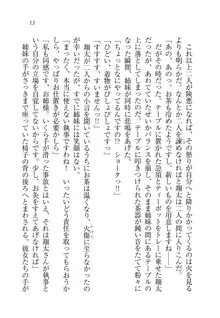 お嬢様姉妹の命令ですっ！, 日本語