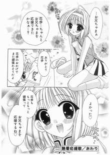 愛娘箱, 日本語