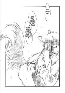 Ookami no Chotto H na Hanashi [Wolf and a Little Dirty Chat] (Ookami to Koushinryou [Spice and Wolf]) [English] ==Strange Companions==, English