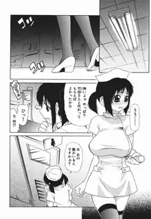 爆乳っ娘天国！！, 日本語