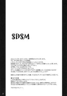 SDSM, 日本語