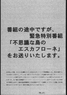 天晴れNan・Demo-R, 日本語