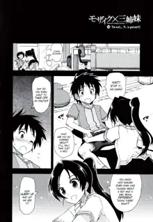 Mosaic x Sanshimai #10 (decensored), English