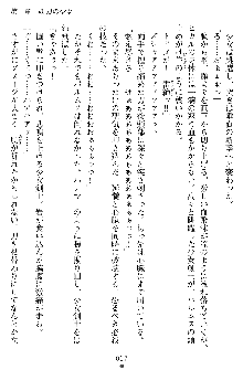 奴隷聖徒会長ヒカル ～淫魔に占陵された学園～, 日本語