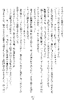 奴隷聖徒会長ヒカル ～淫魔に占陵された学園～, 日本語