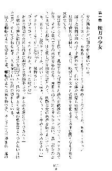 奴隷聖徒会長ヒカル ～淫魔に占陵された学園～, 日本語