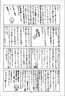 SAMPLE Vol.1, 日本語