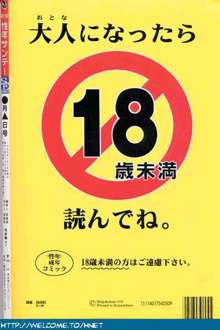 習慣 性年サンデーSE 特別増感号, 日本語