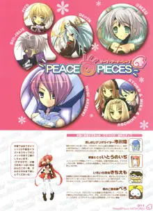 Peace and Pieces Artwork, 日本語