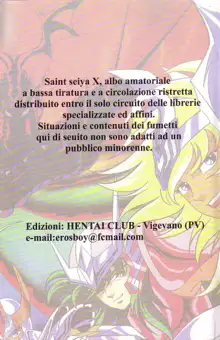 Saint seiya X, Italiano