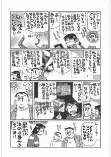 電脳遊菜録, 日本語