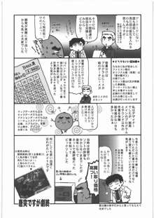 電脳遊菜録, 日本語