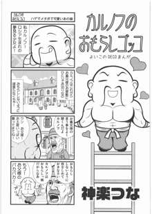 電脳遊菜録, 日本語