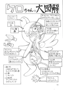 カードキャプターさくら 分身烈風拳, 日本語