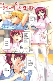 Kore ga Nurse no Oshigoto desu., 한국어