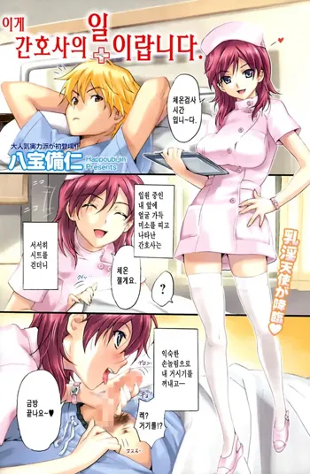 Kore ga Nurse no Oshigoto desu.