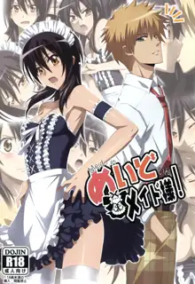 Meid in Maid-sama!, English