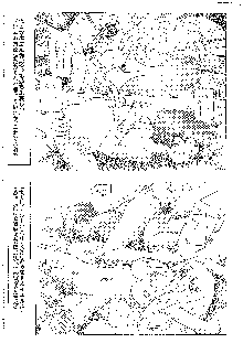 キャラエミュ W☆B005 GUNDAM 004 V-G-∀, 日本語