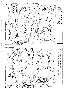 キャラエミュ W☆B005 GUNDAM 004 V-G-∀, 日本語