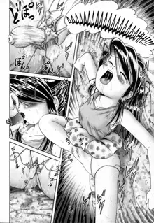 Himitsu no Hanazono Ch. 2, Português