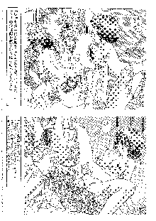 キャラエミュ W☆B009 GONDAM 007 1st-G-SDGF, 日本語