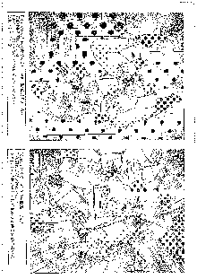 キャラエミュ W☆B009 GONDAM 007 1st-G-SDGF, 日本語