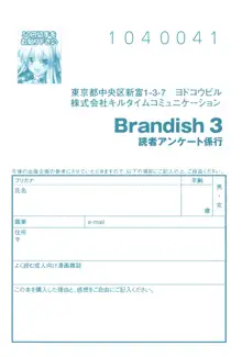 Brandish 3, 日本語