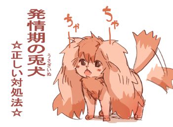 兎犬の飼い方講座, 日本語